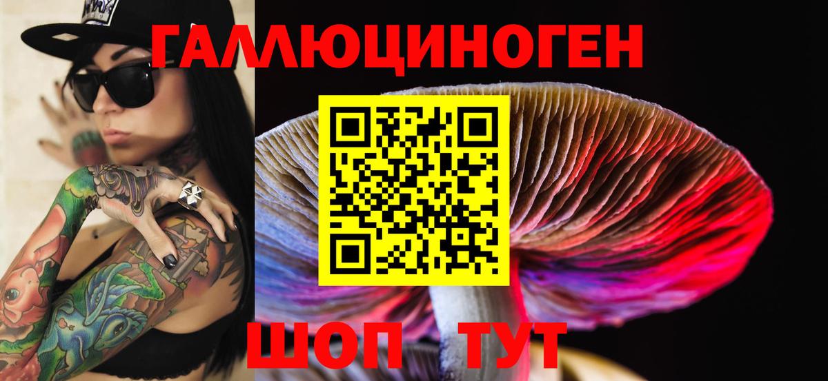Галлюциногенные грибы GOLDEN TEACHER Киселёвск